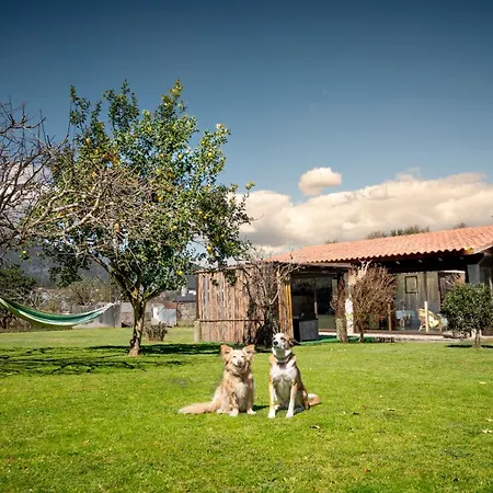 Holiday home Casa Barros