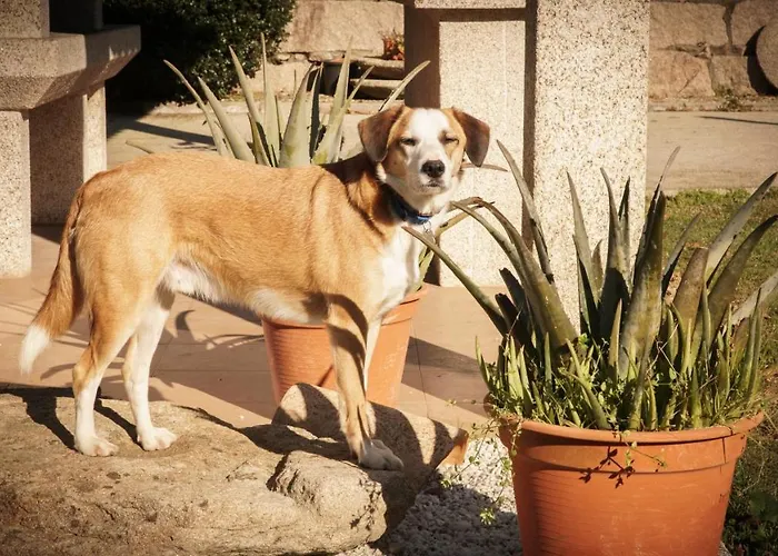 Casa Barros 度假居